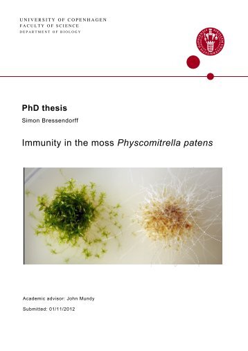Immunity in the moss Physcomitrella patens