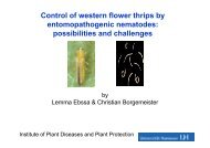 Control of western flower thrips by ... - COST Action 850