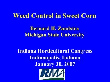 weed_sweet_corn