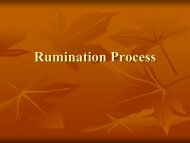 Rumination Process