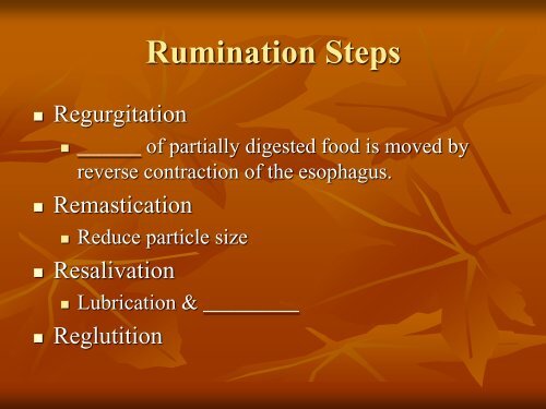 Rumination Process