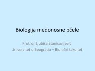 Predavanje 6 - Univerzitet u Beogradu