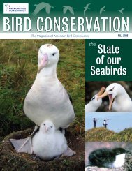 Fall 2008: The State of our Seabirds - American Bird Conservancy