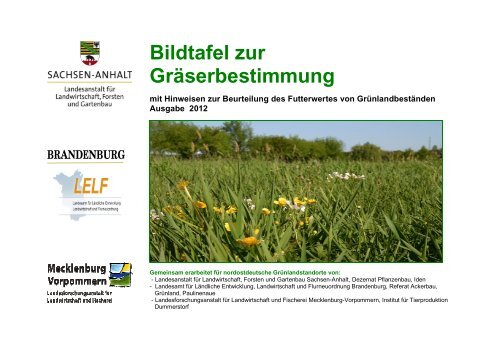 Bildtafel zur Gräserbestimmung - LLFG - Sachsen-Anhalt