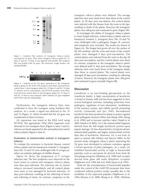 Transgenic tobacco plants expressing antimicrobial ... - Wdc-jp.biz