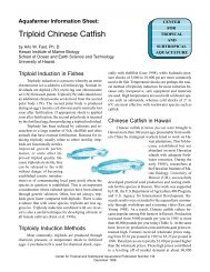 CTSA #134. Fast, A.W. 1998. Triploid Chinese Catfish. 4 pp.