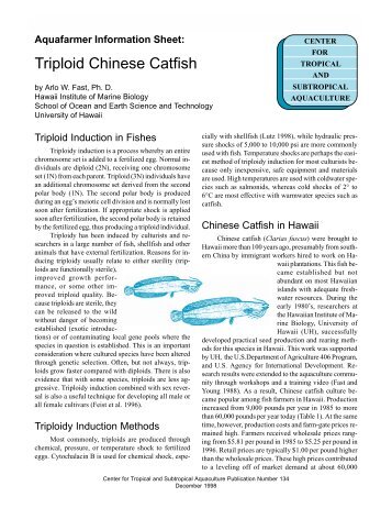 CTSA #134. Fast, A.W. 1998. Triploid Chinese Catfish. 4 pp.