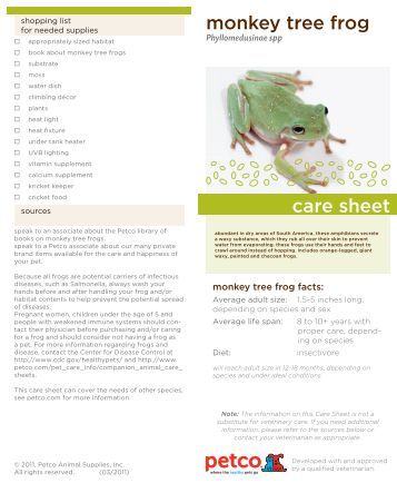 petco daycare russian tortoise care sheet petco petco daycare russian tortoise care sheet petco