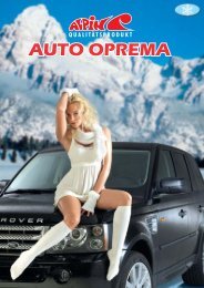 Rinder01-auto akustika