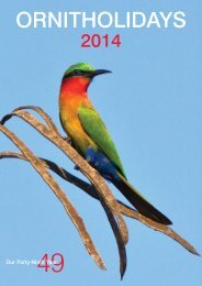 Download 2014 Brochure (.pdf) - Ornitholidays