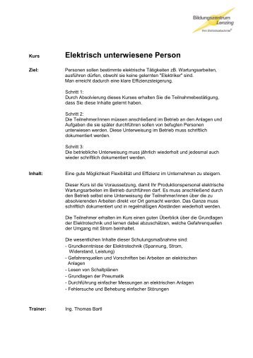 Elektrisch unterwiesene Person