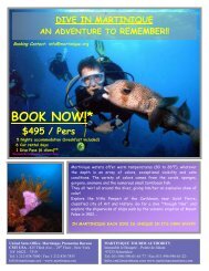 BOOK NOW! * - Martinique