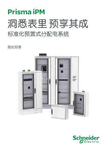æ´æè¡¨éé¢äº«å¶æ - Schneider Electric