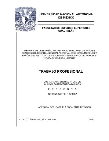 trabajo profesional - Universidad Nacional AutÃ³noma de MÃ©xico