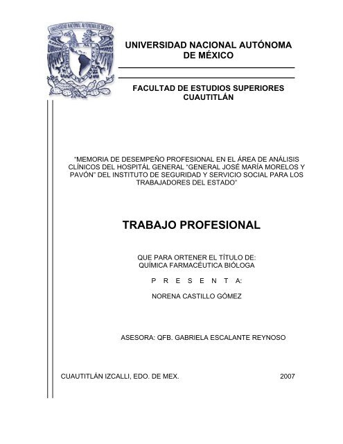 trabajo profesional - Universidad Nacional AutÃ³noma de MÃ©xico
