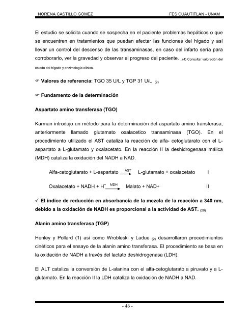 trabajo profesional - Universidad Nacional AutÃ³noma de MÃ©xico