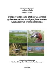 Obszary waÅ¼ne dla ptakÃ³w w okresie gniazdowania oraz migracji na ...