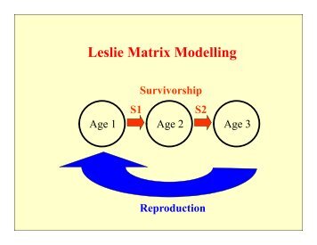 Leslie Matrix Modelling - Pelagicos.net