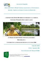 gestion des zones humides favorables Ã  la tortue cistude d ... - Cen-LR