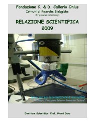 RELAZIONE SCIENTIFICA 2009 - Callerio Foundation