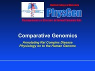 Comparative Genomics - Medical College of Wisconsin