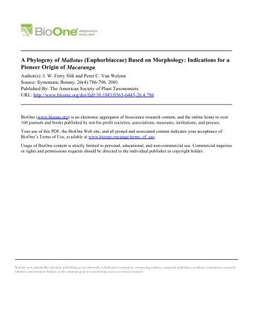 A Phylogeny of Mallotus (Euphorbiaceae) Based on Morphology ...