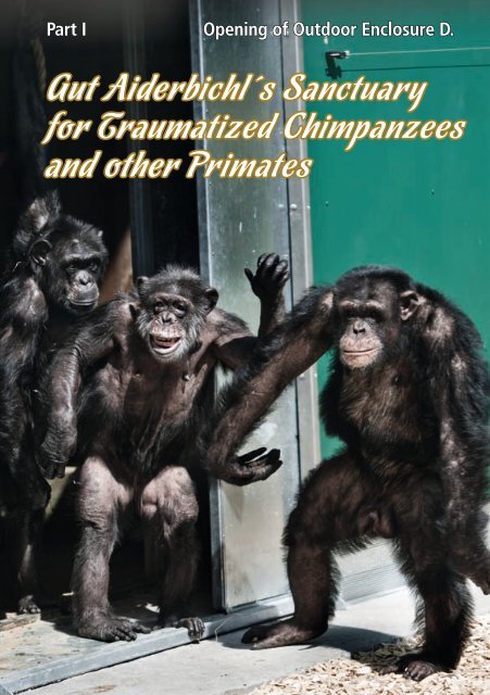 Gut Aiderbichl ´s Sanctuary for Traumatized Chimpanzees and other ...