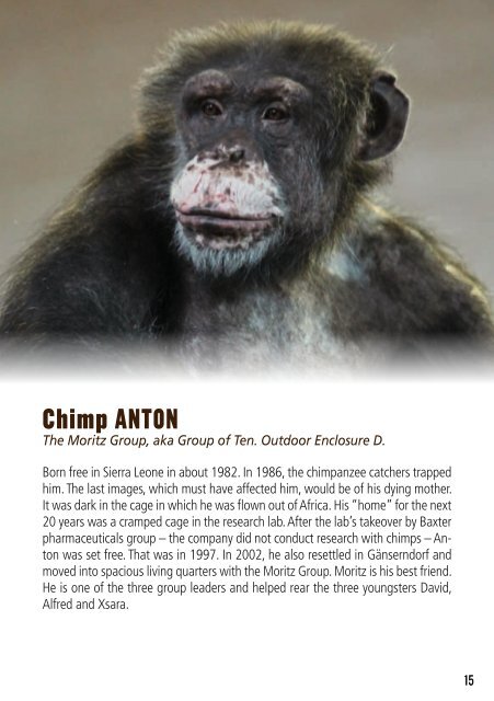 Gut Aiderbichl ´s Sanctuary for Traumatized Chimpanzees and other ...