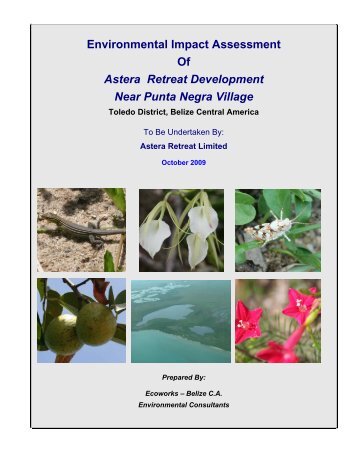 Environmental Impact Assessment Of Astera Retreat Development ...