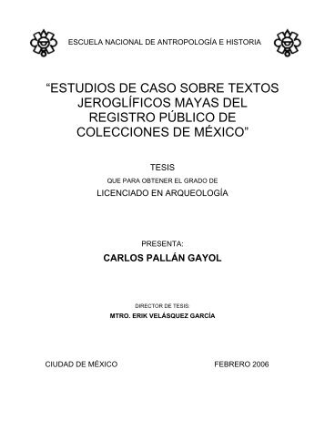 Estudios de caso sobre textos jeroglÃƒÂ­ficos mayas - Wayeb