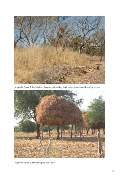Rangeland condition and feed resources in Metema District, North ...