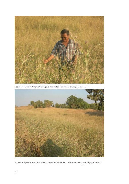 Rangeland condition and feed resources in Metema District, North ...