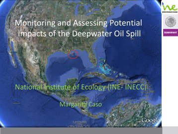 Mexican Monitoring Response to Deepwater Horizon