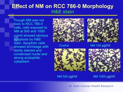 SOT_2008_apoptosis.pdf - Dr. Rath Research Institute