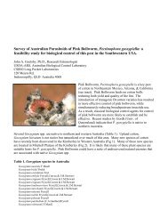 Survey of Australian Parasitoids of Pink Bollworm, Pectinophora ...