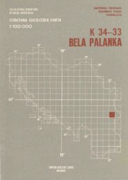 BELA PALAIKA