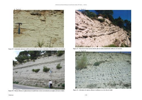 Architecture du bassin rhodano-provençal miocène (Alpes ... - Pastel