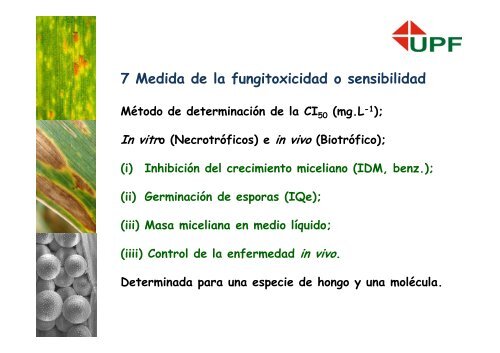 del fungicida - Mercosoja 2011