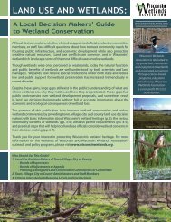 Land Use and Wetlands: A Local Decision Makers' Guide to Wetland ...