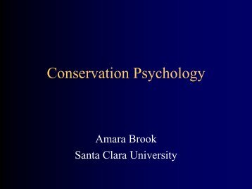 Identity and Environmental Behavior - Webpages at SCU - Santa ...