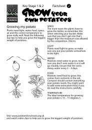 Growing my potato - Grow Your Own Potatoes