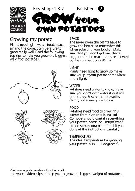 Growing my potato - Grow Your Own Potatoes