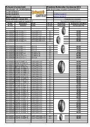 Conti Roller 2013 PL CH Gesamt Br - Pe-Handel & Vertriebs GmbH