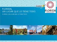 invertir en florida - Adef.com.uy