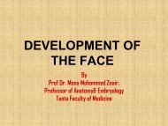 DEVELOPMENT OF THE FACE.pdf