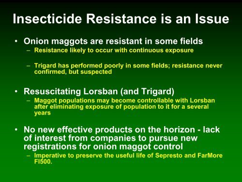 Insect management in onions