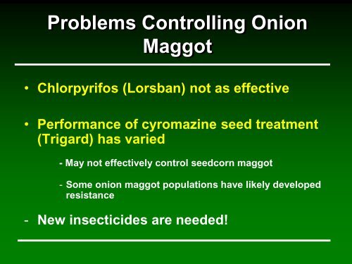 Insect management in onions