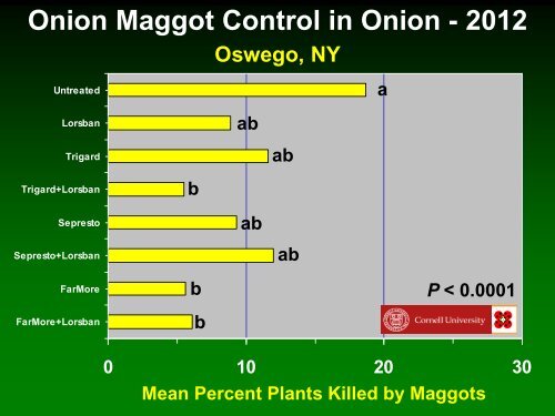 Insect management in onions