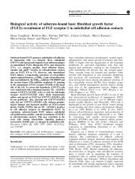 Biological activity of substrate-bound basic fibroblast growth factor ...