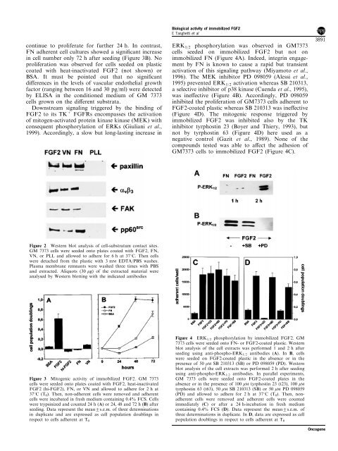 Biological activity of substrate-bound basic fibroblast growth factor ...